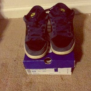 Nike dunk SB